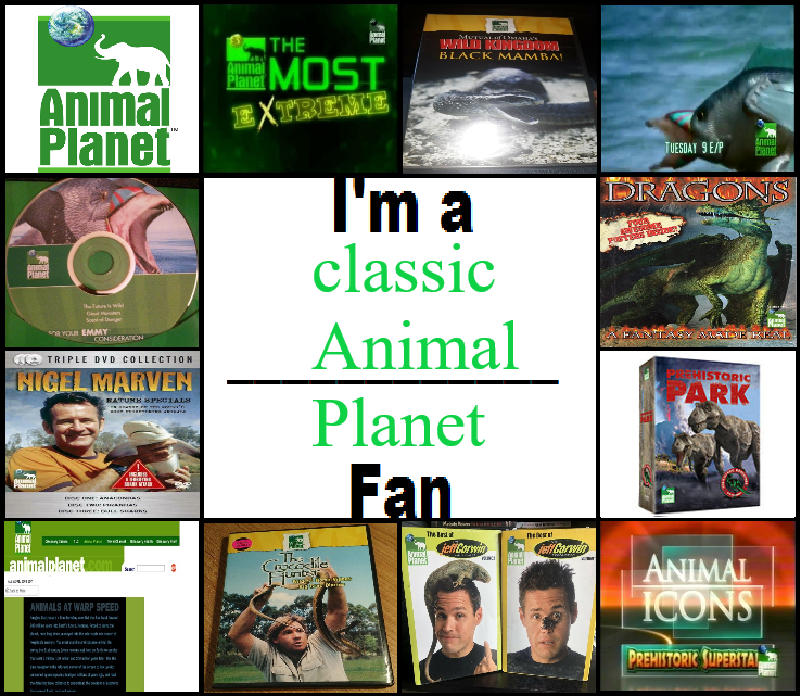 I'm a classic Animal planet fan by Wildgirl2000 on DeviantArt