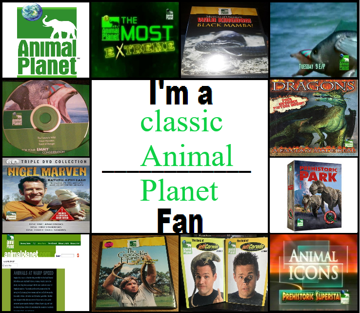 I'm a classic Animal planet fan by Wildgirl2000 on DeviantArt I'm a classic Animal planet fan by Wildgirl2000 on DeviantArt