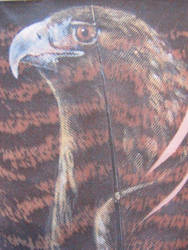 Hawk feather painting