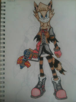 Marissa The Raccoon- Dog