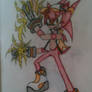 :Commissions: Stryke the Hedgehog(Strykeforce2005)