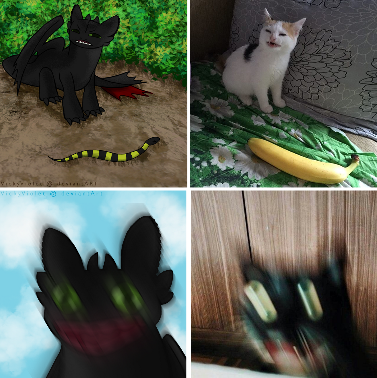 Toothless Messi Toothless Memes by VickyViolet on DeviantArt
