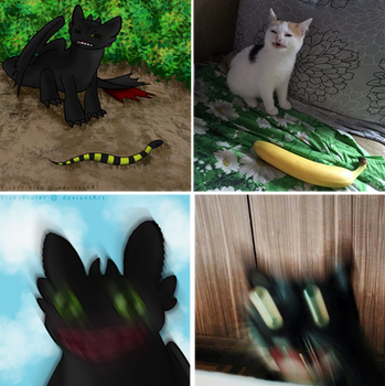 Toothless Memes