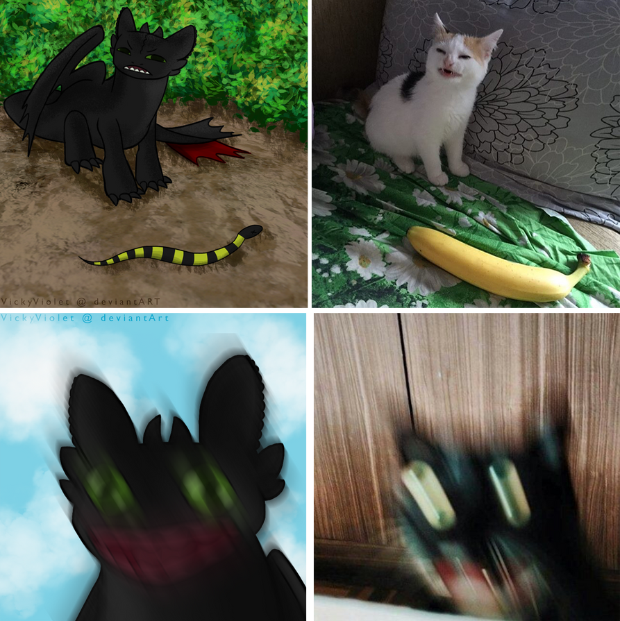Toothless Meme Rage Toothless Memes by VickyViolet on DeviantArt