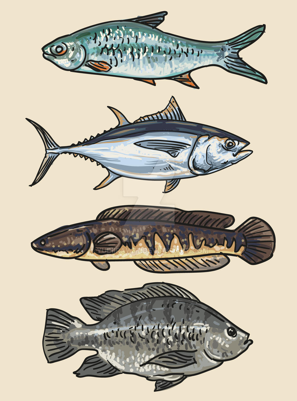 Hand Draw Fish Colour Collection Vector Illustrati by yudiiraw77 on ...