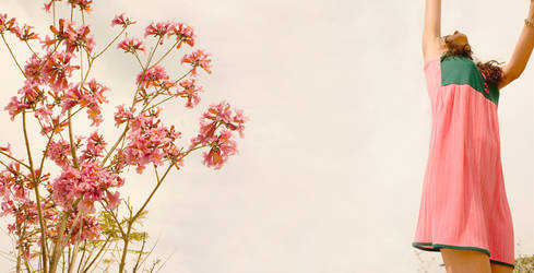 cherry blossom girl.