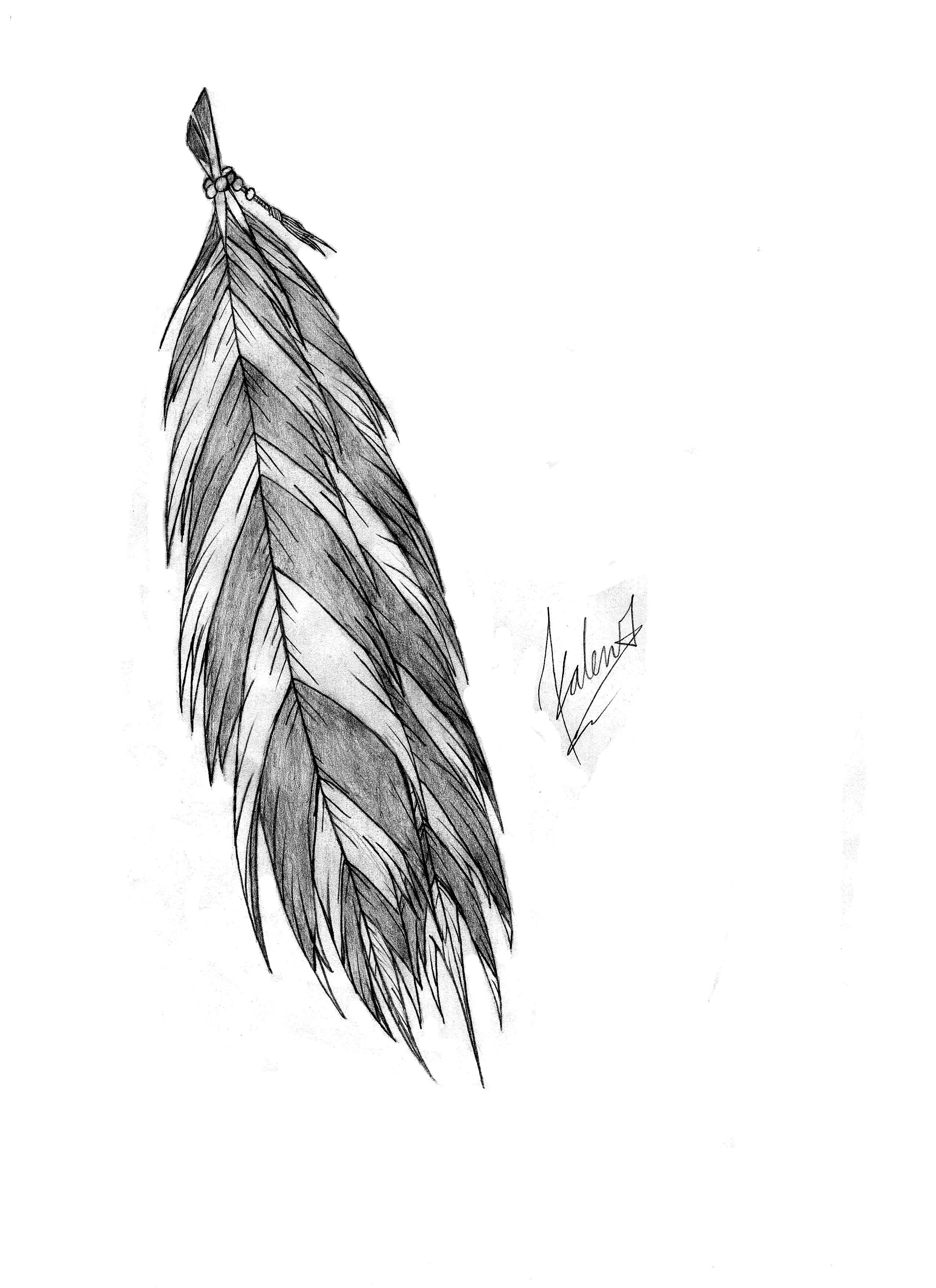 POW WOW Feather