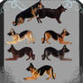 GSD litter-Closed