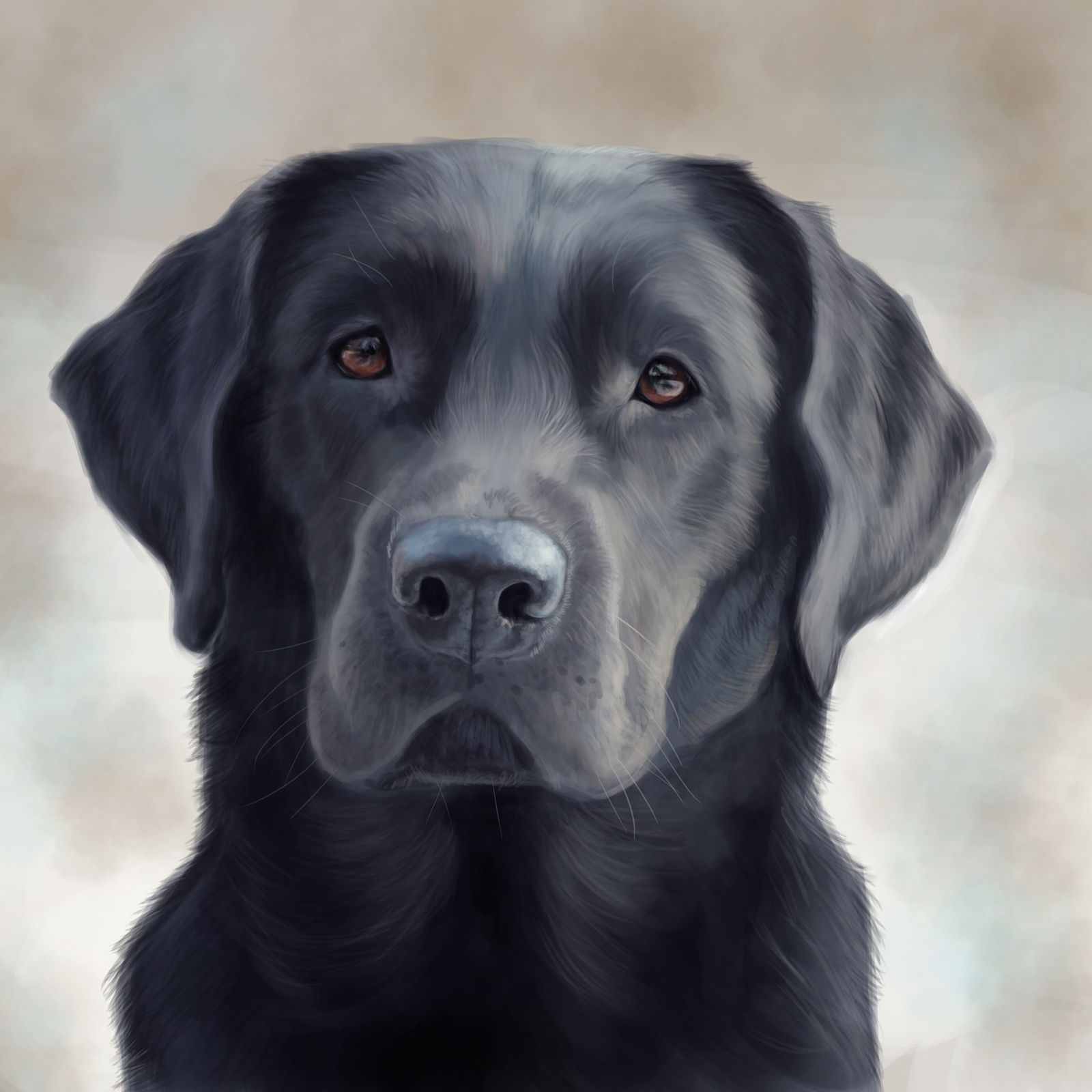 Black Lab Deviantart Black Lab by AmarosoRanch on DeviantArt