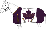 CIEC 1st blanket by Rosenhill