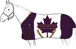 CIEC grand champ blanket by Rosenhill