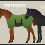 Foal template
