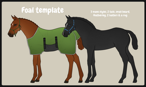 Foal template