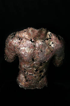 Male Torso 2