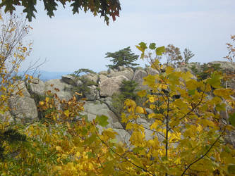 Old Rag Trail