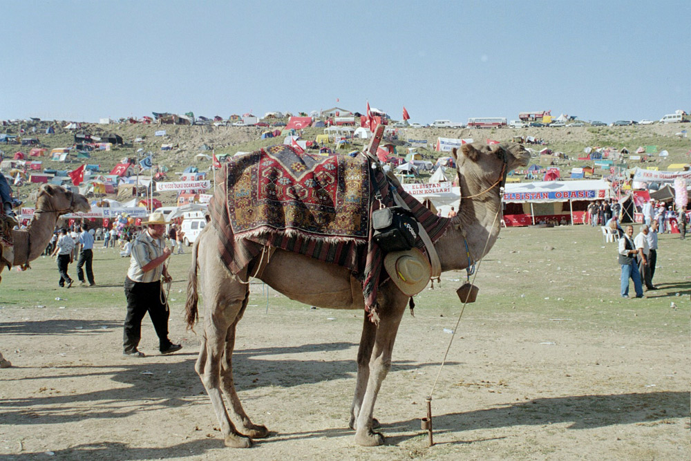 Camel Valet