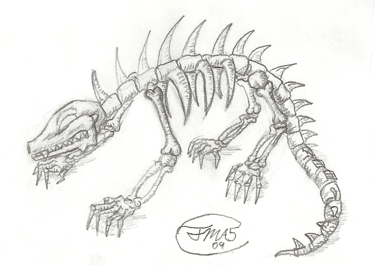 Animal Skeleton Sketch