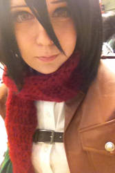 Shingeki no Kyojin - Mikasa Ackerman ID