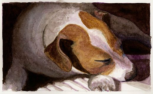 Sleeping Dog