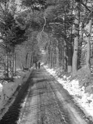 Two people on the road