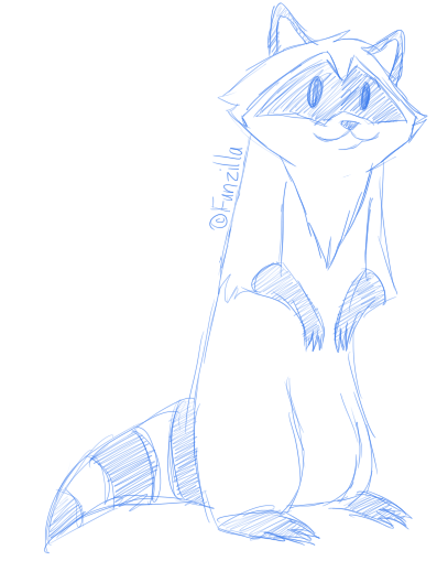 . Raccoon Sketch .