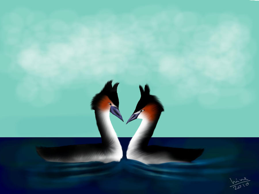 Duck Riding Deviantart Ducks by TheWerewolfPuppy on DeviantArt