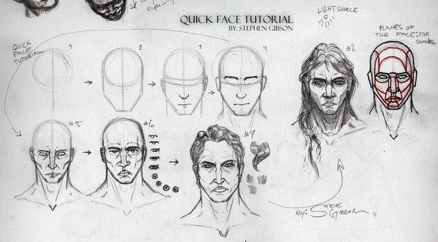 Planes of the Face Tutorial