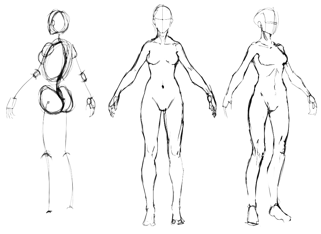 Anatomy of female drawing reference  그리기 튜토리얼, 드로잉 강좌