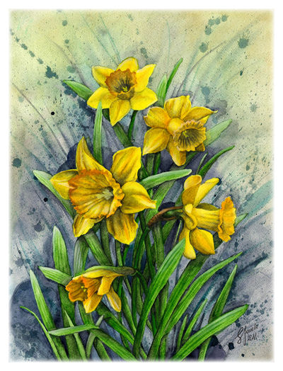 Daffodil - When Hope Blossoms