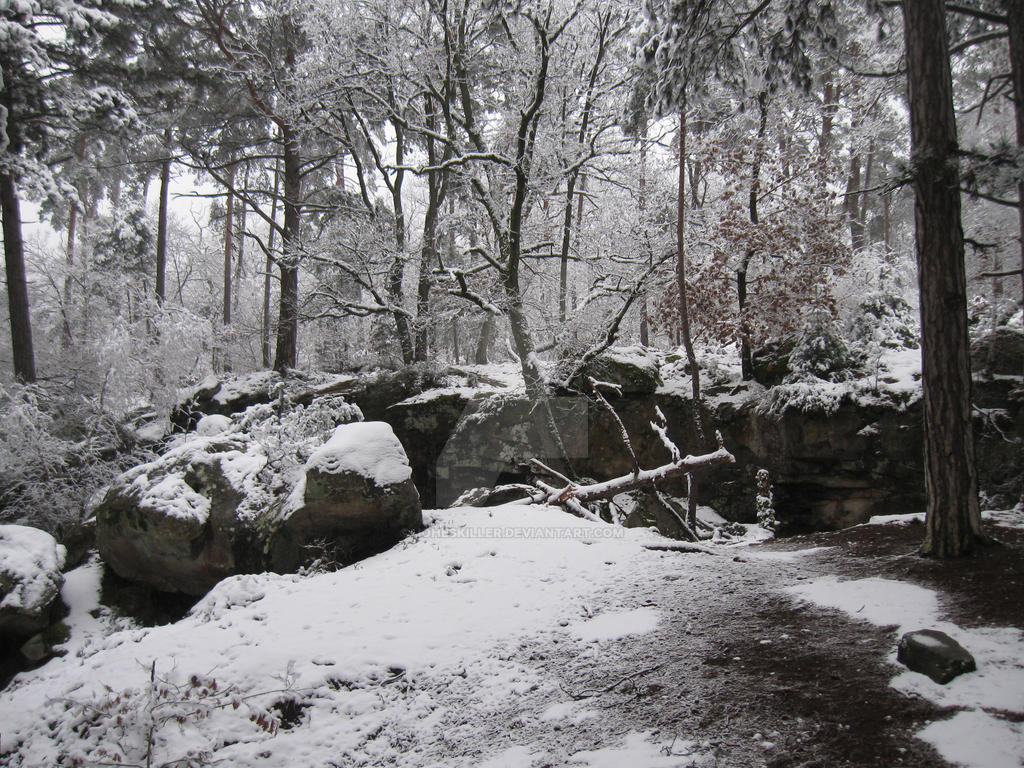 Snowy Rocks Forest Of Fontainebleau By Joheskiller On Deviantart Snowy Rocks Forest Of Fontainebleau By Joheskiller On Deviantart