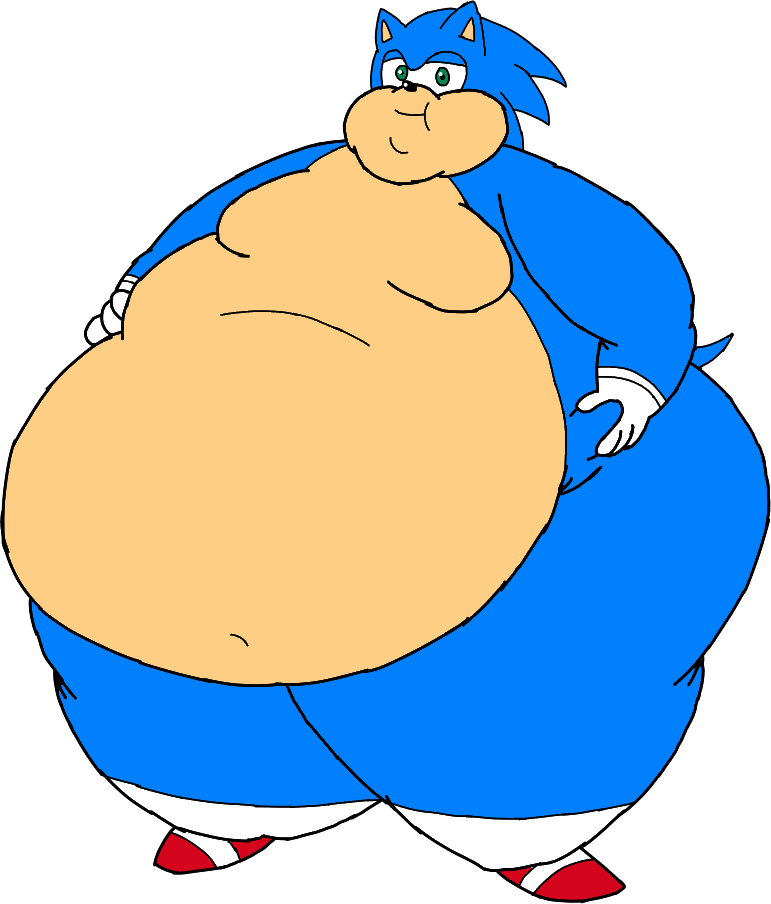 Fat Sonic by becikenagy on DeviantArt