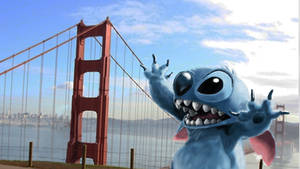 stitch in San Francisco