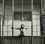 open cage by veftenie