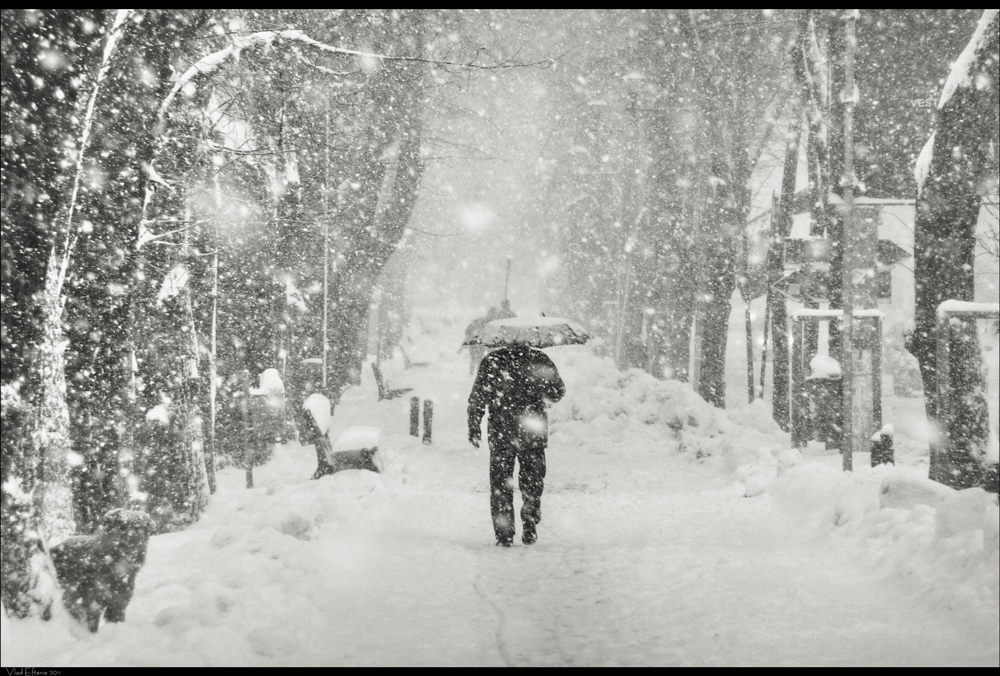 snowy alley