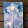 Icey flower