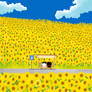 Sunflower field
