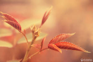 Life by njoyurdreams Life by njoyurdreams