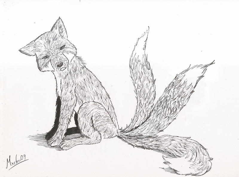 -Comission- 3 Tailed Fox by DarkHestur on DeviantArt