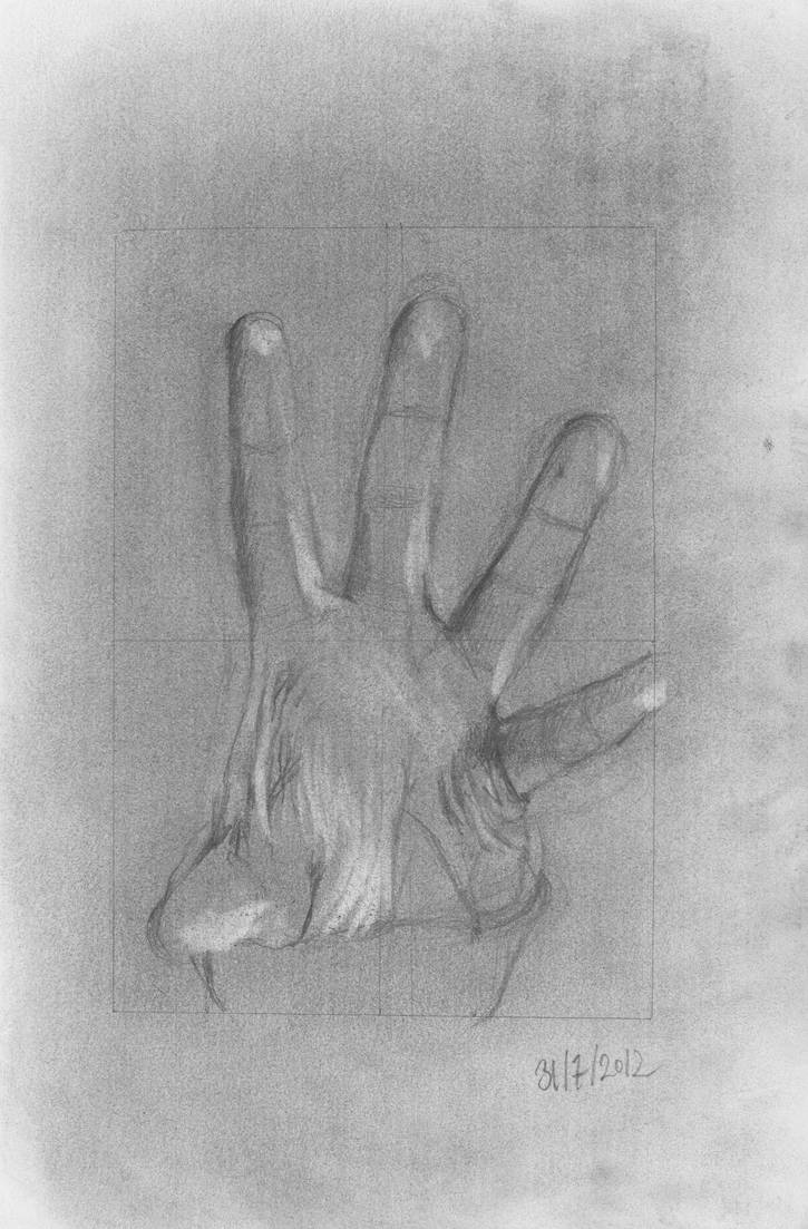 Modified Contour Drawing 1 by PaulMacManus on DeviantArt