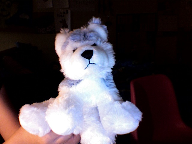 My Webkinz- Husky