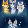 Jayfeather Timetravel