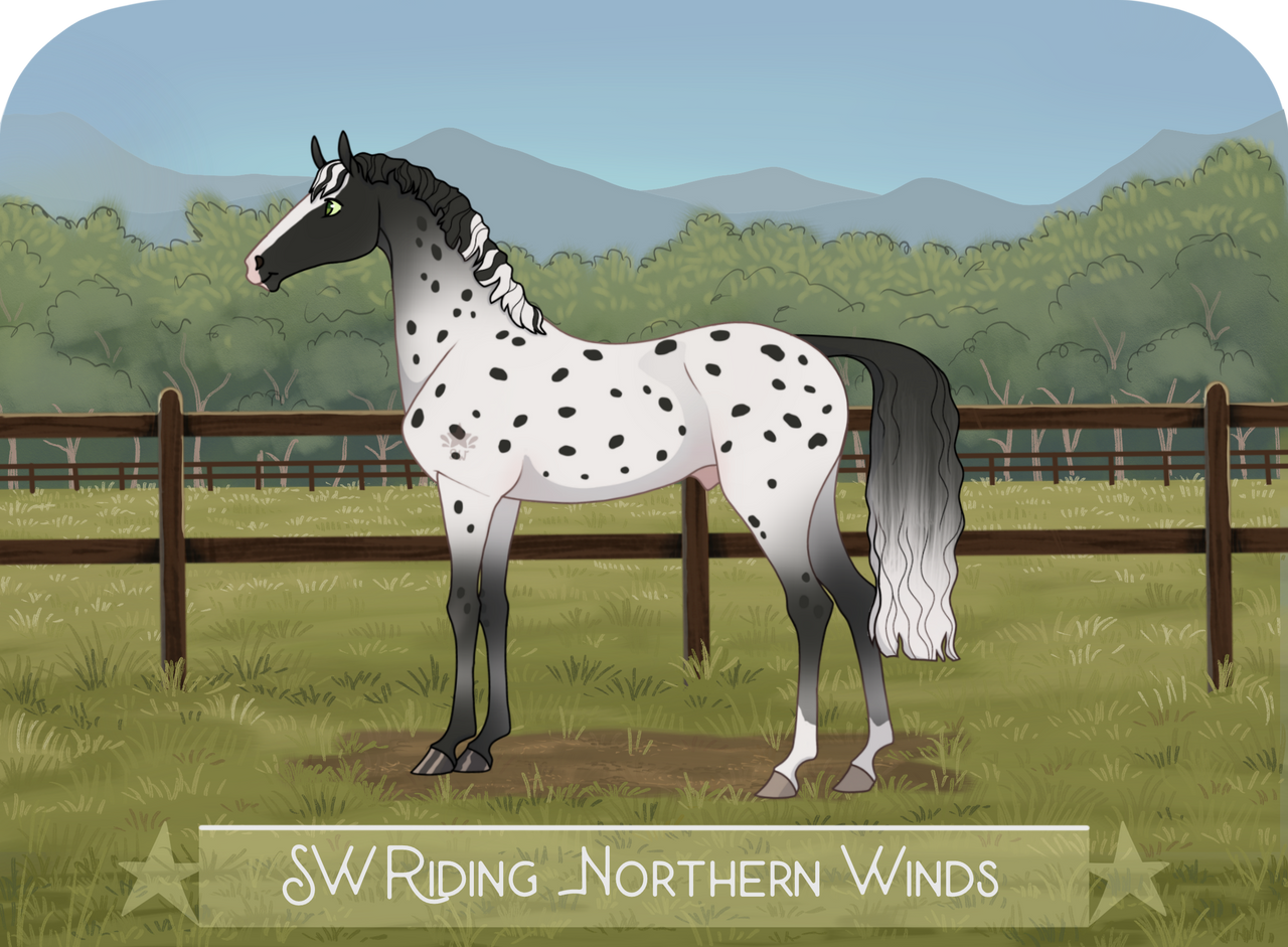 SW Riding Northern Winds by Silverstar00431 on DeviantArt