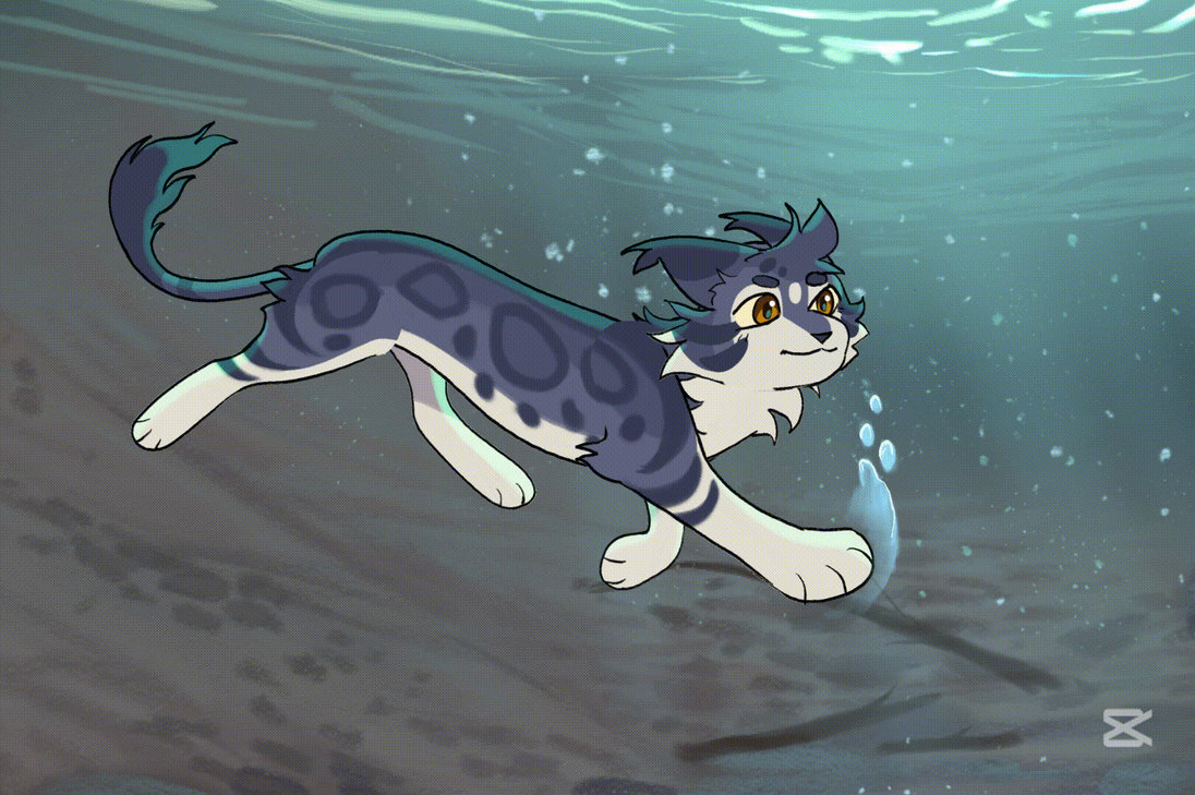 Bloompaw warrior assessment by Silverstar00431 on DeviantArt