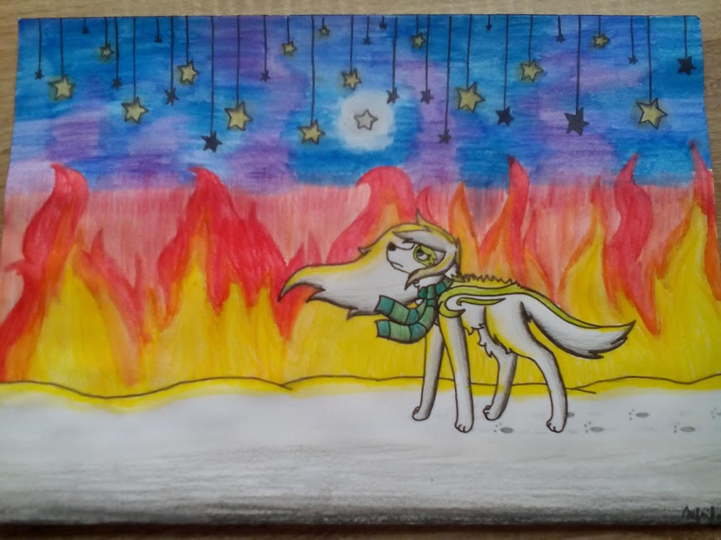 Fake Stars by Nefrika59 on DeviantArt