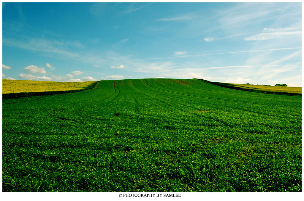 Green Lane