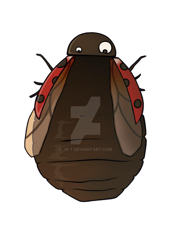 Fat Ladybug_shop edition