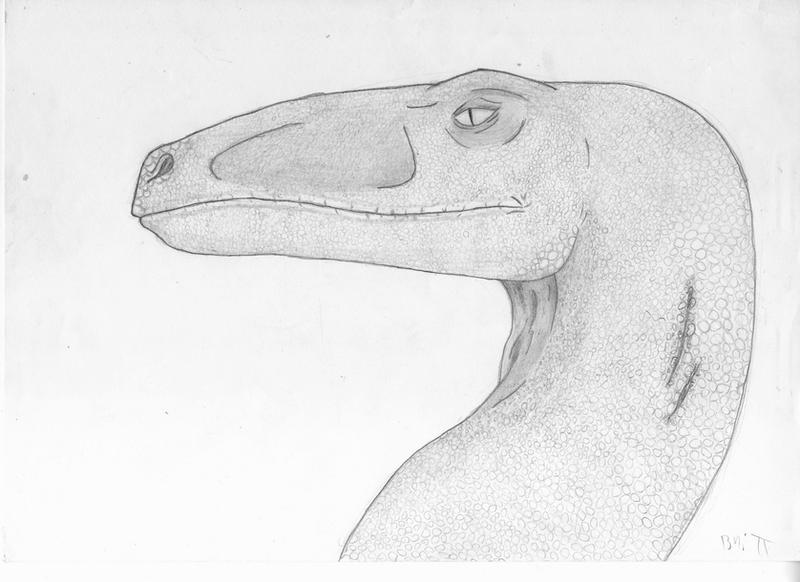 Raptor head by galux54 on DeviantArt