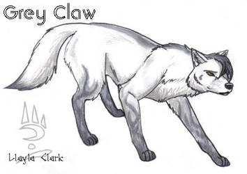 Grey Claw