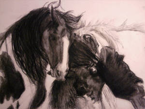 Horses II