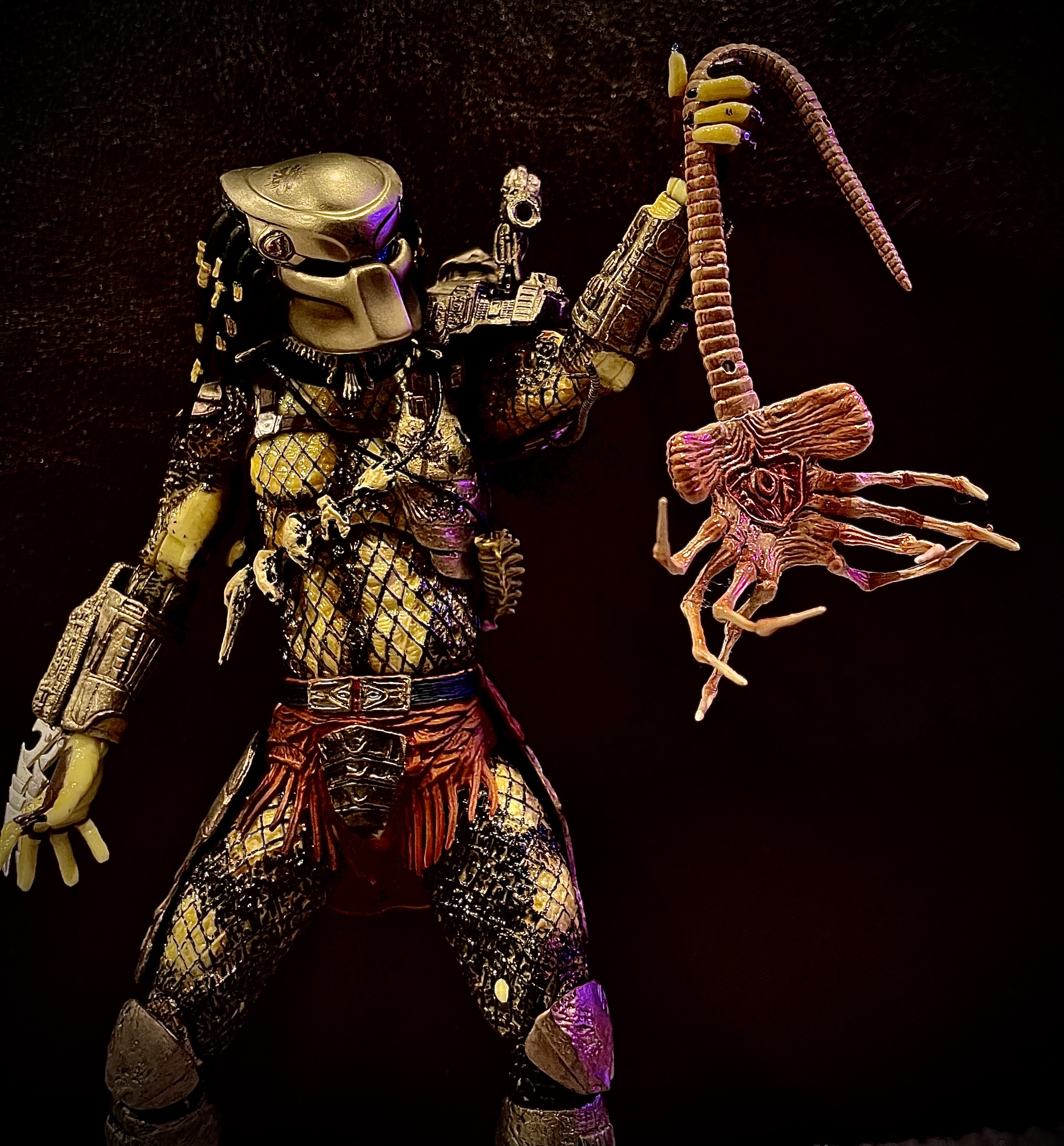 Avp Evolution Deviantart AVP: Daily catch by KingGiganoto5 on DeviantArt